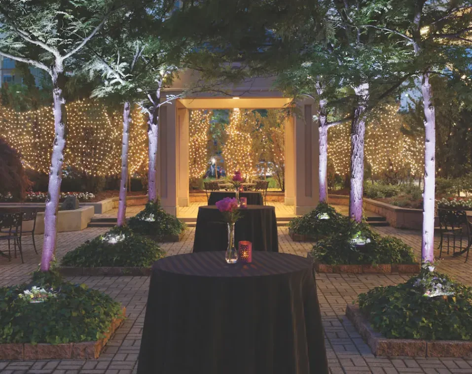 Image showcasing our hotel